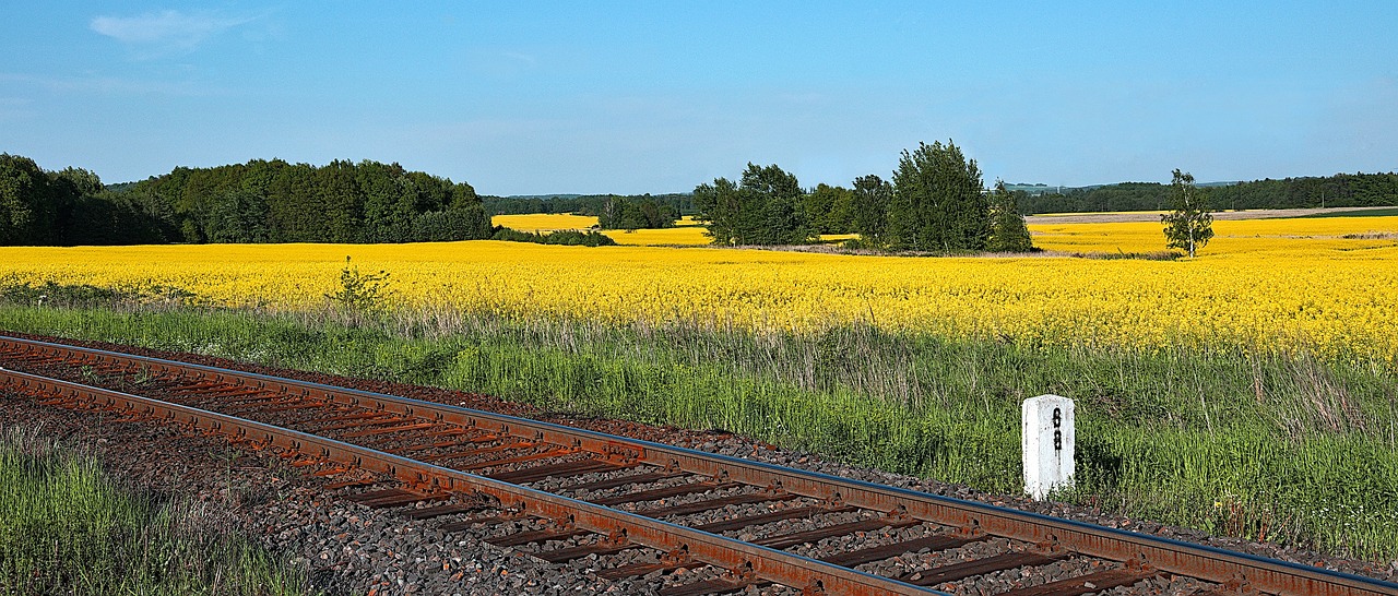 The Role of Biofuel in Sustainable Agriculture Practices